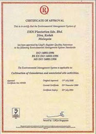 DXN Certificado ISO 9001